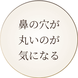 鼻の穴が丸いのが気になる