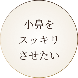 小鼻をスッキリさせたい