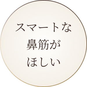 スマートな鼻筋がほしい