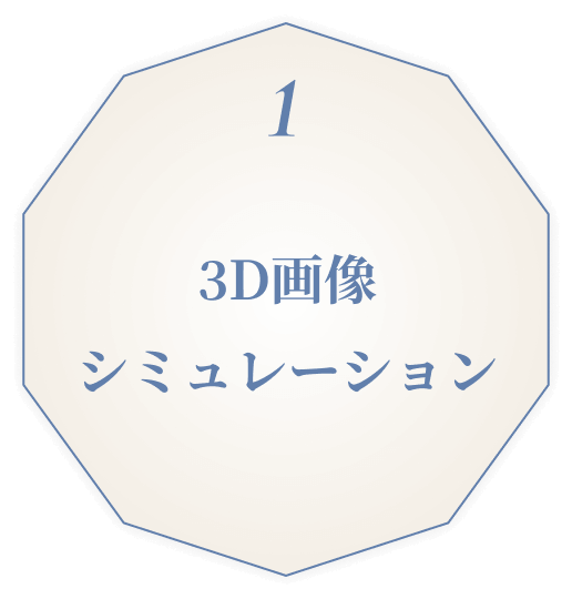 3D画像シミュレーション