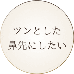 ツンとした鼻先にしたい