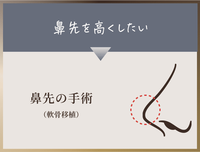 鼻先の手術