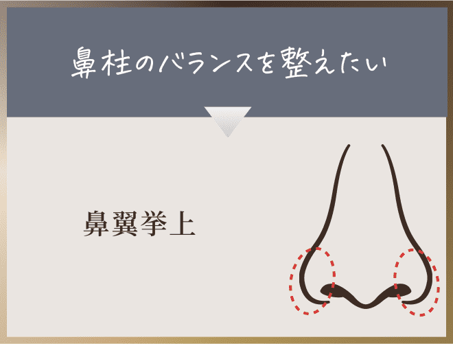 鼻翼挙上
